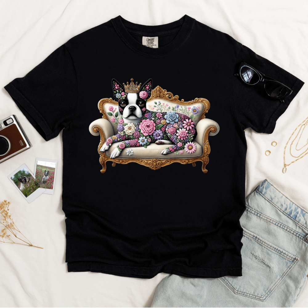 Boston On A Couch T-shirt